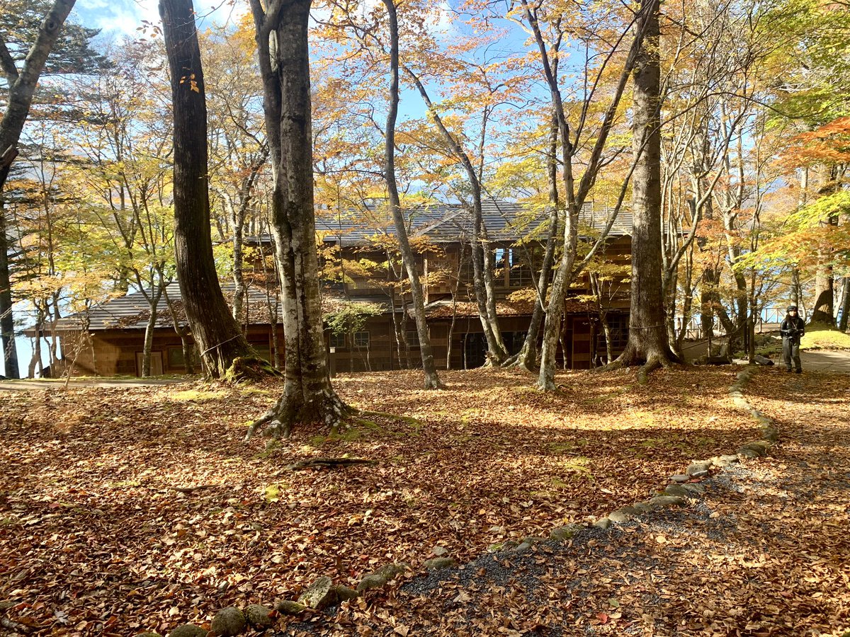 tkimura89186174's tweet photo. 紅葉🍁
日本の四季は
美しい✨✨ https://t.co/vXMvQf9eZu