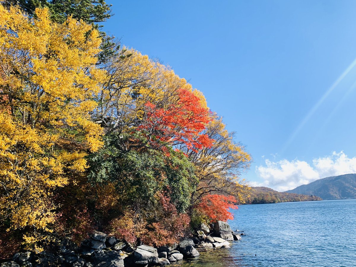 tkimura89186174's tweet photo. 紅葉🍁
日本の四季は
美しい✨✨ https://t.co/vXMvQf9eZu