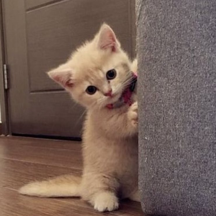 민 tweet media