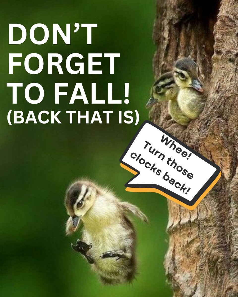 It's daylight savings time, folks! 
We get an extra coveted hour of sleep, serving up a bonus round of cozy blanket burrito time. 
Let's hygge the heck outta this season.