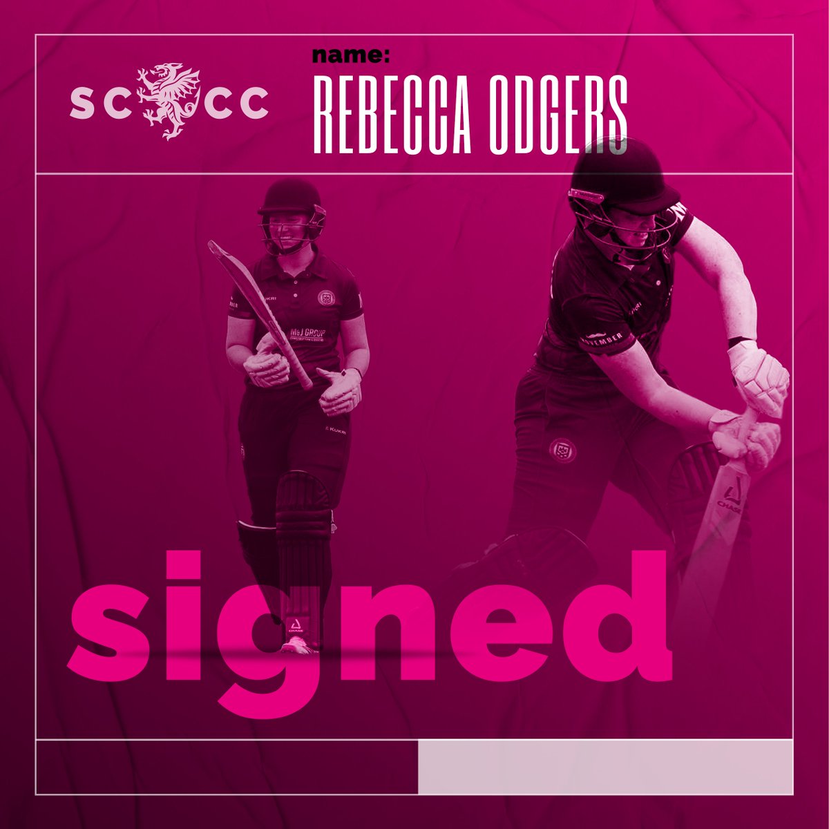 Somerset Women tweet media