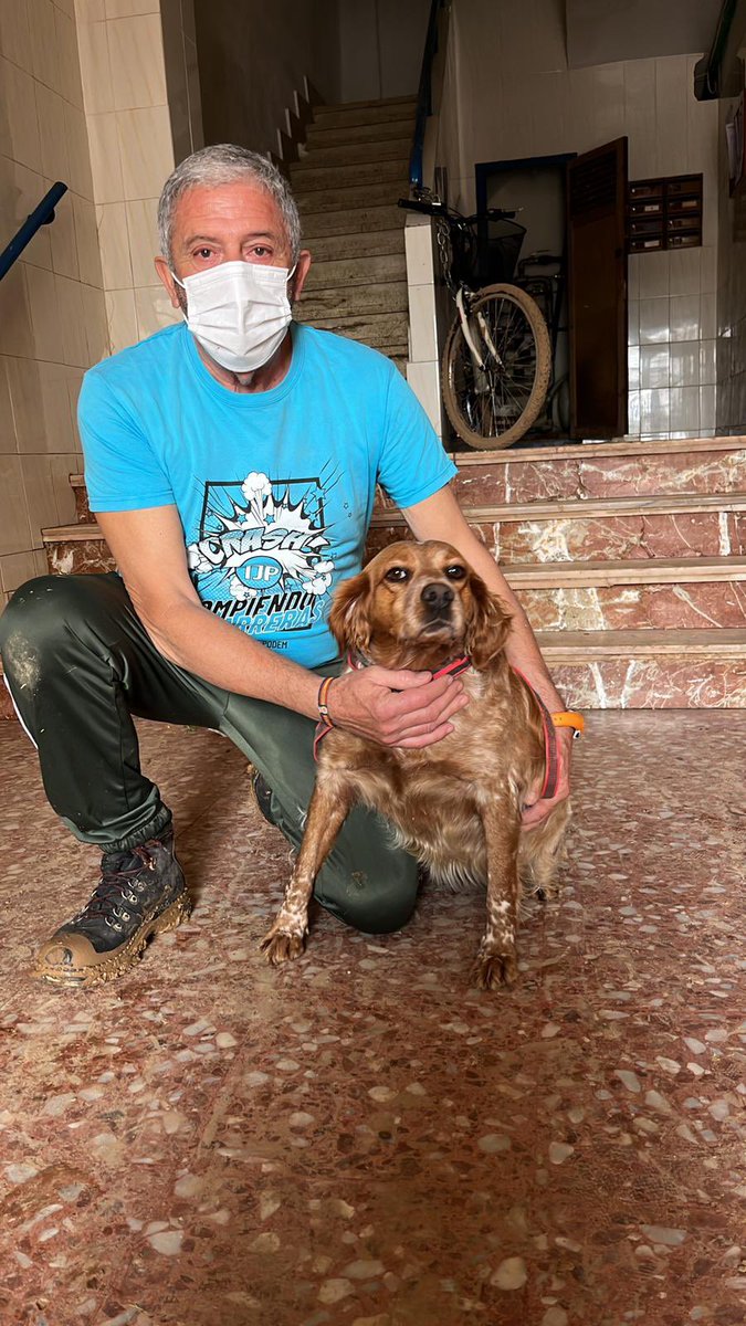 UN RAYO DE LUZ EN MEDIO DE LA TRAGEDIA DE VALENCIA‼️

Manuel Herrera es un cazador de Almargen que lo ha perdido todo en las inundaciones es de Alfafar… Hoy, todavía en medio de la catástrofe, ha conseguido recuperar a su compañera de caza, que desapareció durante la riada