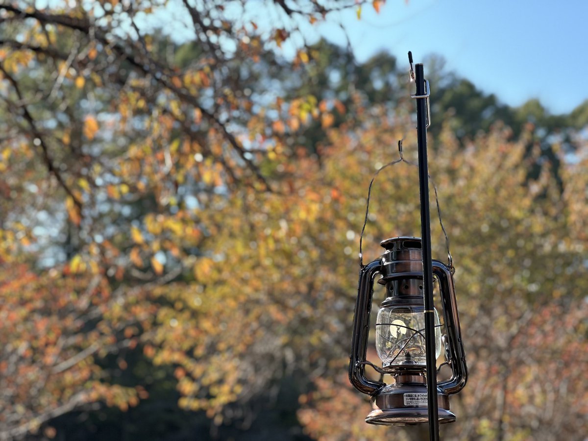 RR_schnee's tweet photo. 6℃寒い。秋も終わるね…🍂
ストーブ持って来ても良かったなw https://t.co/IuokCrmFQn