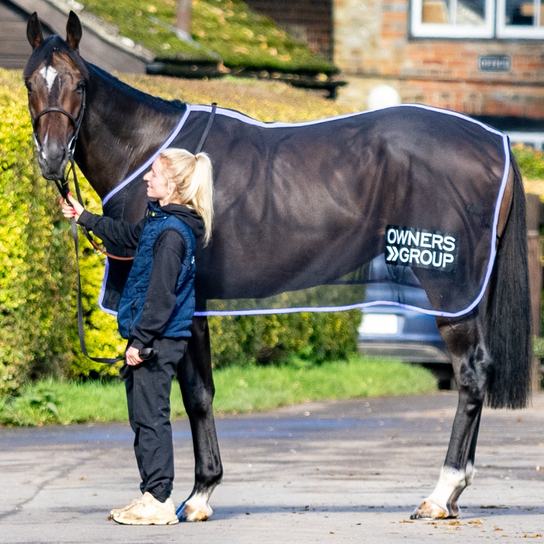 ownersgroupuk's tweet photo. Lovely to see JARAMILLO at the latest Warren Greatrex stable visit 🥰🐴

#jaramillo
#stablevisits
#ownersgroup https://t.co/oP3jE4J4D3