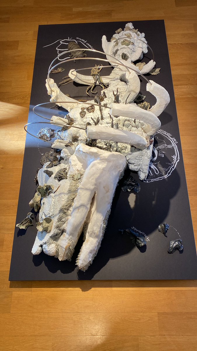 Scorpio 5H art

Decomposing corpses
Jana Thiel