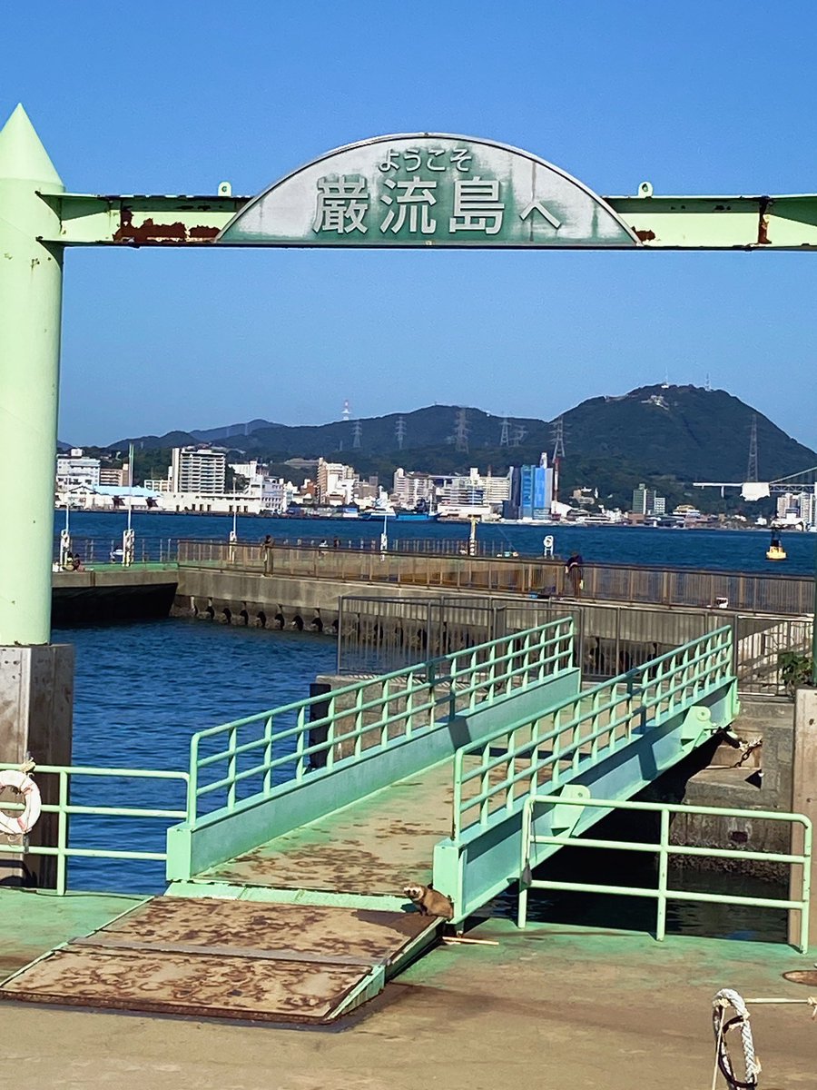 巌流島！！
宮本武蔵と佐々木小次郎の決闘の地。
に来た。ふるえる🥹⚔️✨

そしてなんとなんと
「他を抜く」の語呂合わせから
勝負事に縁起がいいとされ
会えたら必勝まちがいなし✨の、
たぬき に会えたぞーー🙌
