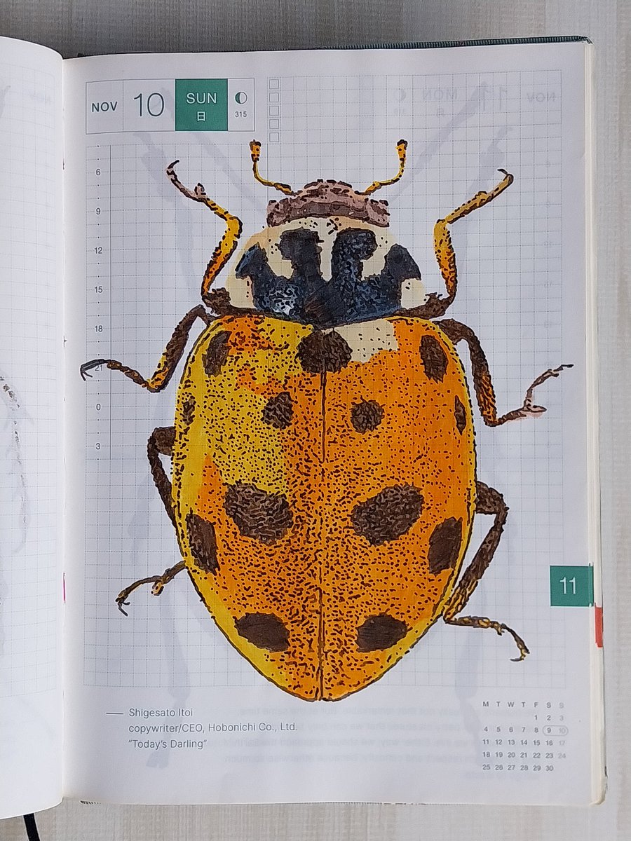 arteysketchbook's tweet photo. it's bug week ! extending my halloween celebrations with some creepy crawlys.
Thanks for looking ~
#bug #color #beetle #bugs #markerink #sketchdaily #journalspread #draweveryday #artbook #inspirationdaily https://t.co/50ns3t7RAZ