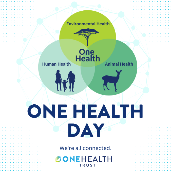 One Health Trust (@onehealthtrust) on Twitter photo This is #OneHealthDay, tune in to our OWOH #podcast with <a href="/SabineFranklin/">Dr. Sabine Franklin #BLM</a> as she talks about her research on an #Ebola outbreak in west Africa & how a #OneHealth approach can help us better handle future #pandemics and epidemics.
Tune in: onehealthtrust.org/news-media/pod… This is #OneHealthDay, tune in to our OWOH #podcast with <a href="/SabineFranklin/">Dr. Sabine Franklin #BLM</a> as she talks about her research on an #Ebola outbreak in west Africa & how a #OneHealth approach can help us better handle future #pandemics and epidemics.
Tune in: onehealthtrust.org/news-media/pod…