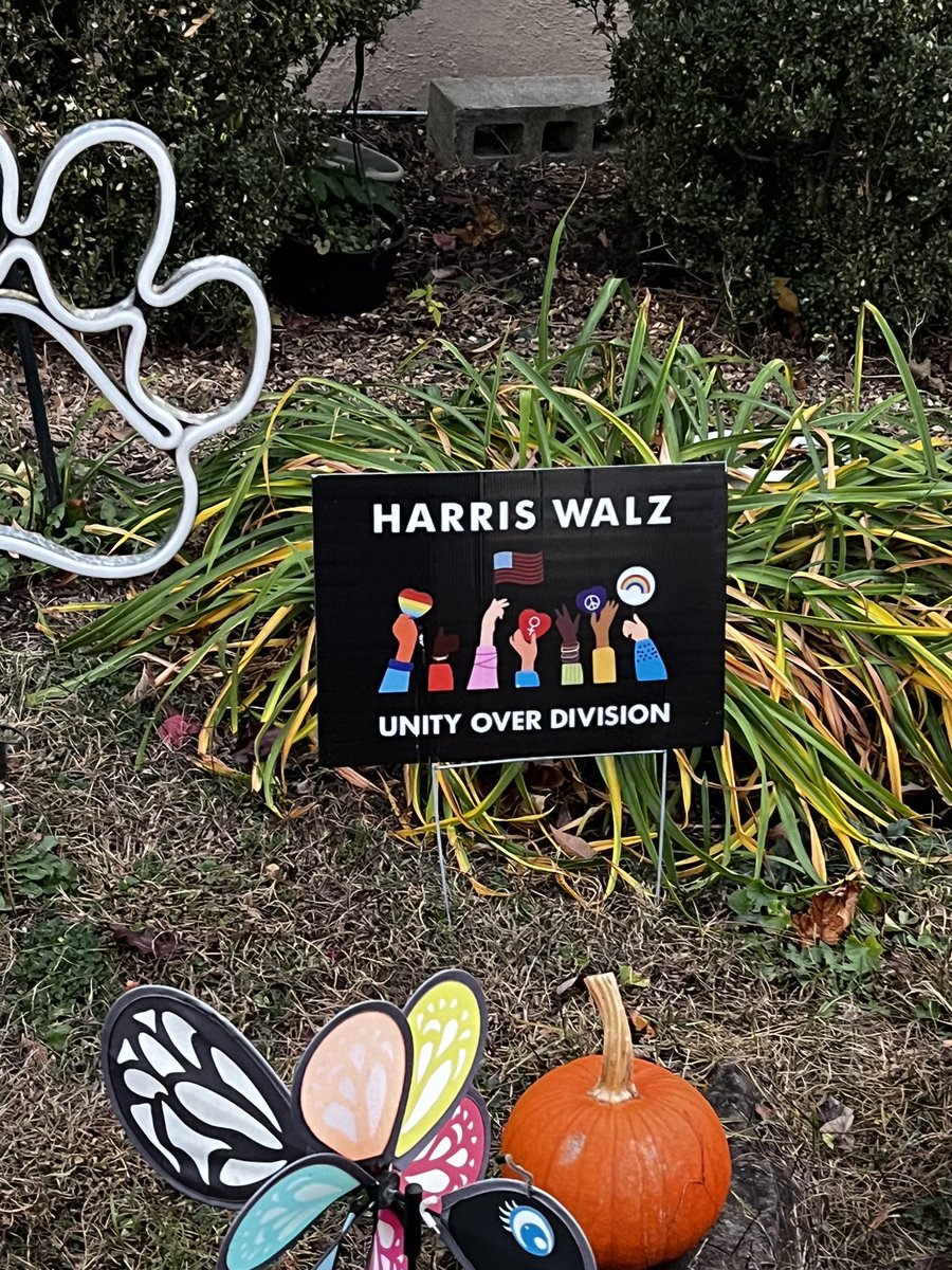 3 generations: granddaughter, momma, grandmother canvassing together #wewontgoback #vote #roevember @mondairejones @kamalaharris @dana4assembly @pete4ny #prop1 🗽🗳️❤️🌎