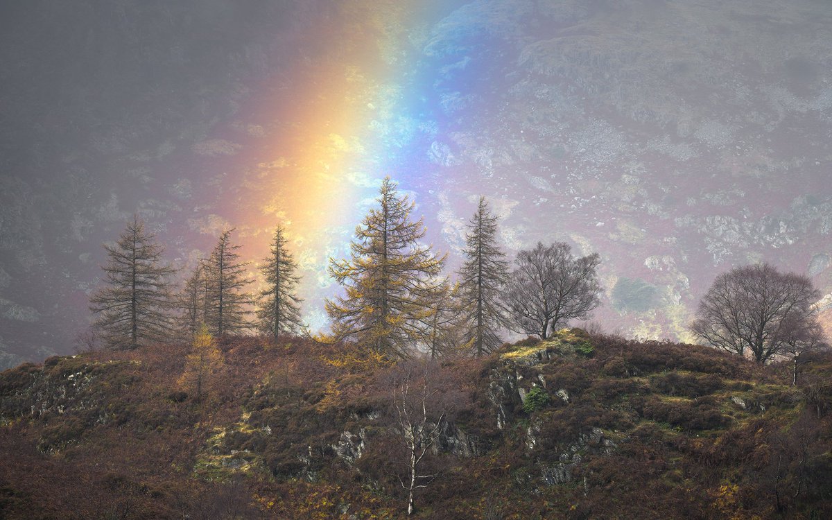 Will Blakey Milner tweet media