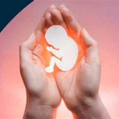 DramaAlert tweet media