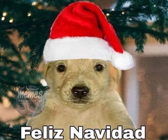 GevyJeans's tweet photo. Es 3 de noviembre, automáticamente yo: https://t.co/YnSOKi7TcB