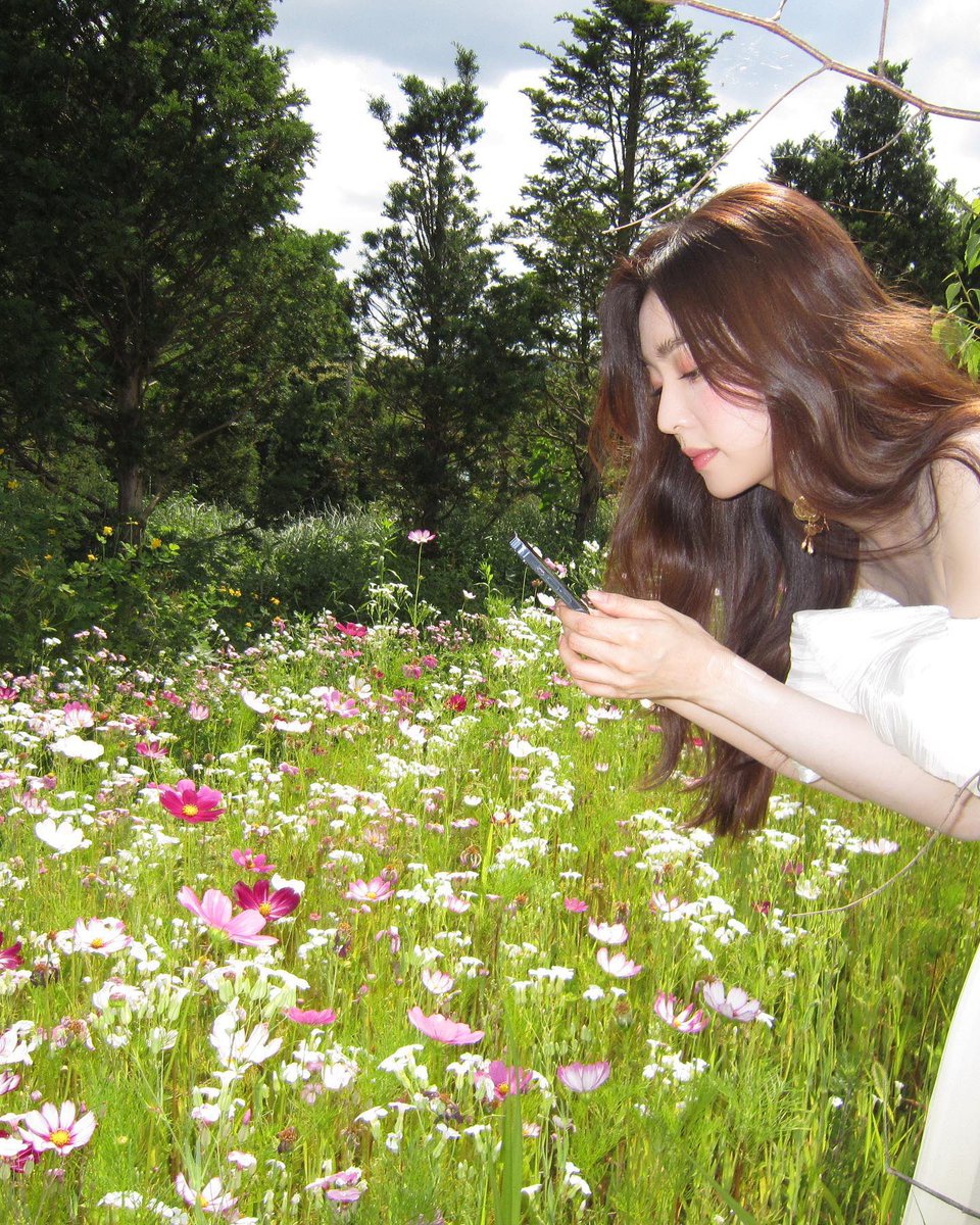 irene pics tweet media