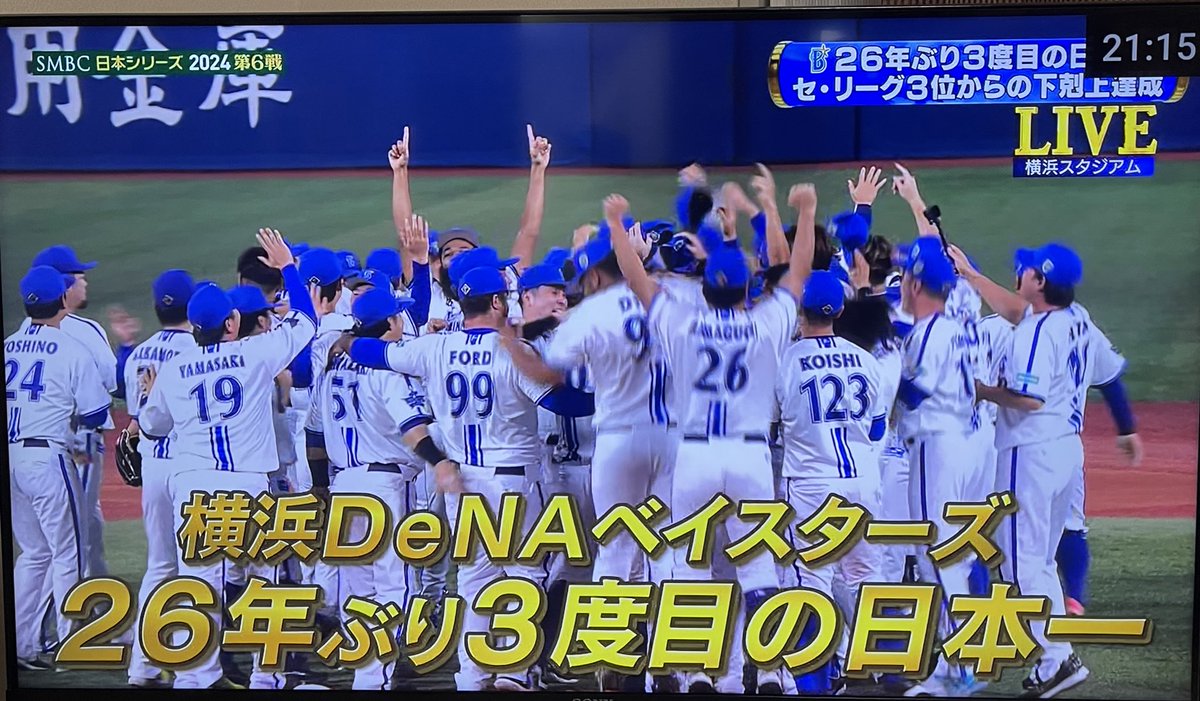 横浜DeNAベイスターズ】横浜日本一ビゲストタオル選手ビジュアル胴上げ