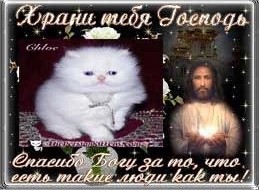 irinroom's tweet photo. #designprosmotr
Булат, https://t.co/IkxUo77zoL