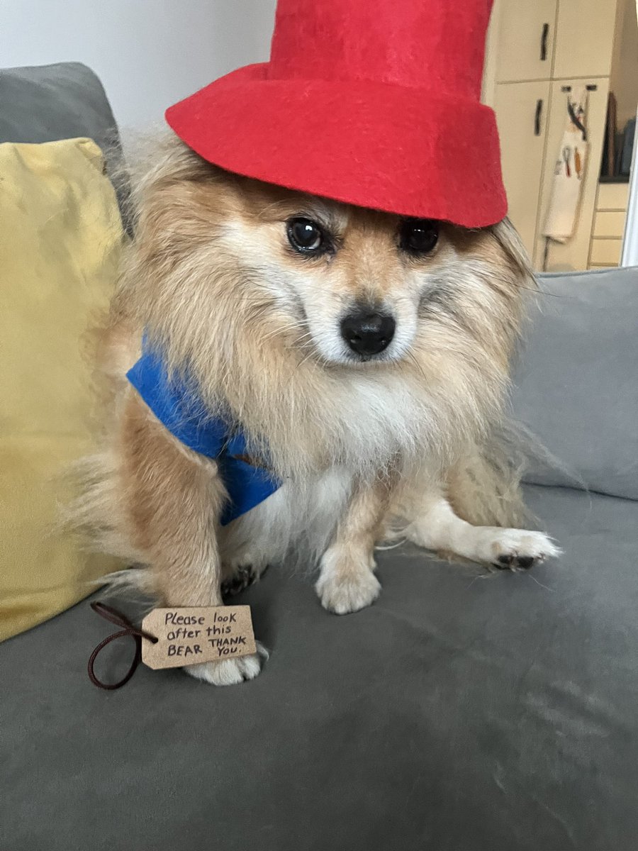 Danielle.vincent tweet media