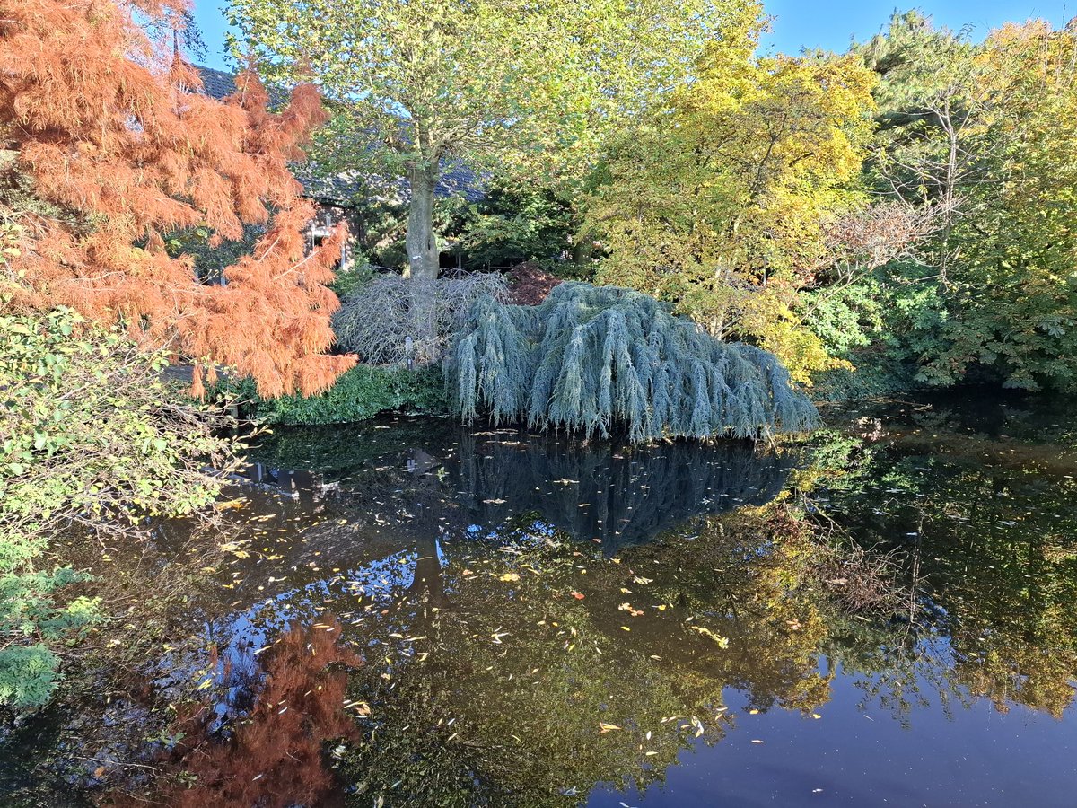 Maarten Molenaar tweet media