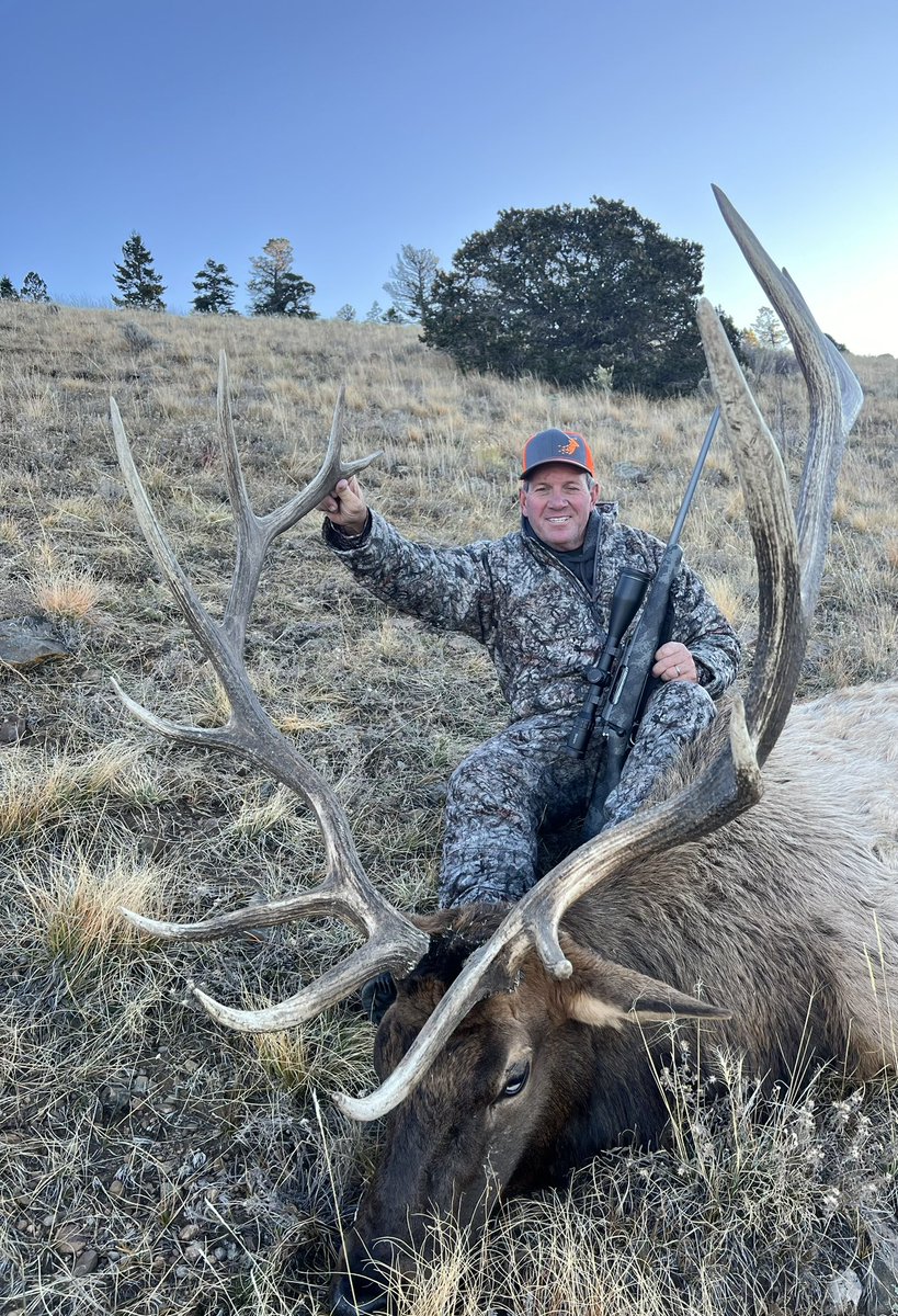 BEOUTDOORScom's tweet photo. Big bulls hitting the ground during the Colorado gun season... Congrats to the Herrings on a couple of great bulls! #fathersonhunt #elkhunting #asiogear #beoutdoors #elkmeat @AsioGear https://t.co/1aeRsu4avo