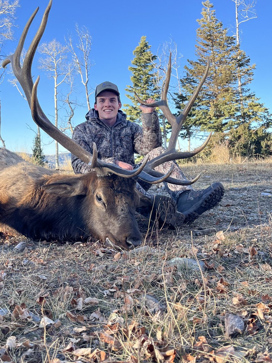 BEOUTDOORScom's tweet photo. Big bulls hitting the ground during the Colorado gun season... Congrats to the Herrings on a couple of great bulls! #fathersonhunt #elkhunting #asiogear #beoutdoors #elkmeat @AsioGear https://t.co/1aeRsu4avo