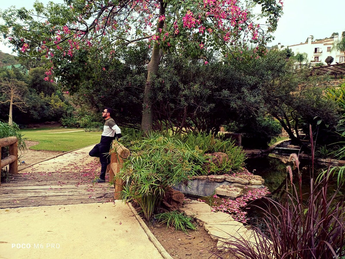 JorP (@jorgepg1) on Twitter photo 