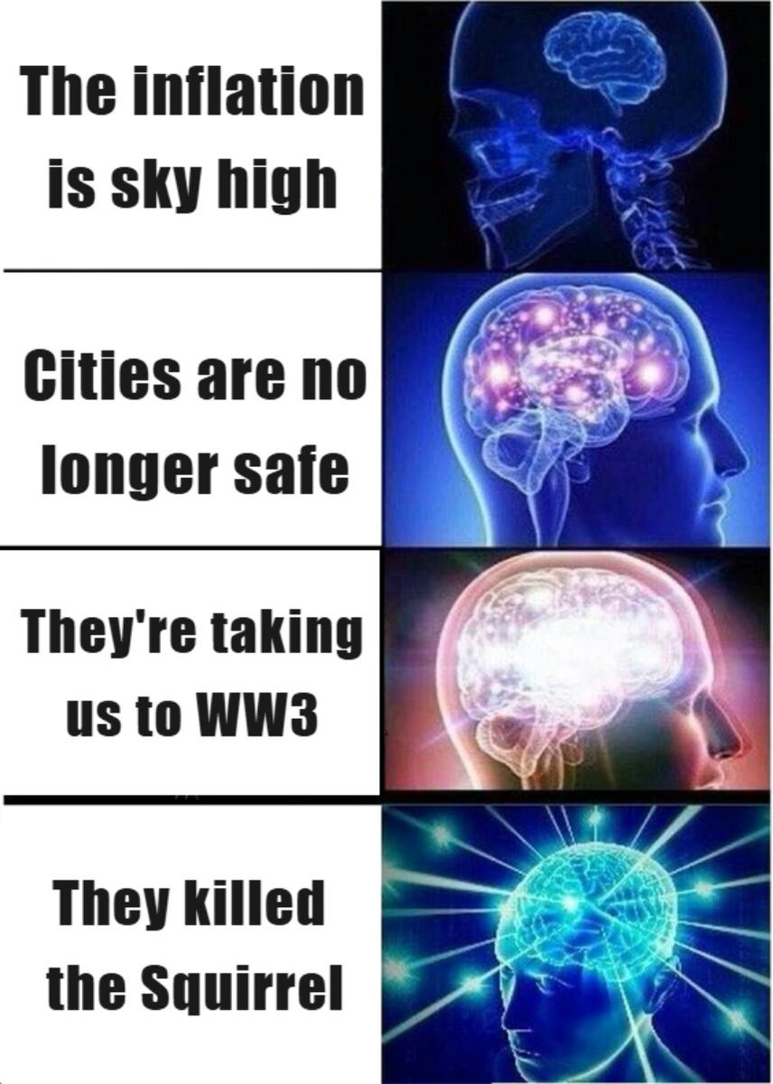 HappeningAI's tweet image. #SquirrelArmy #Peanut