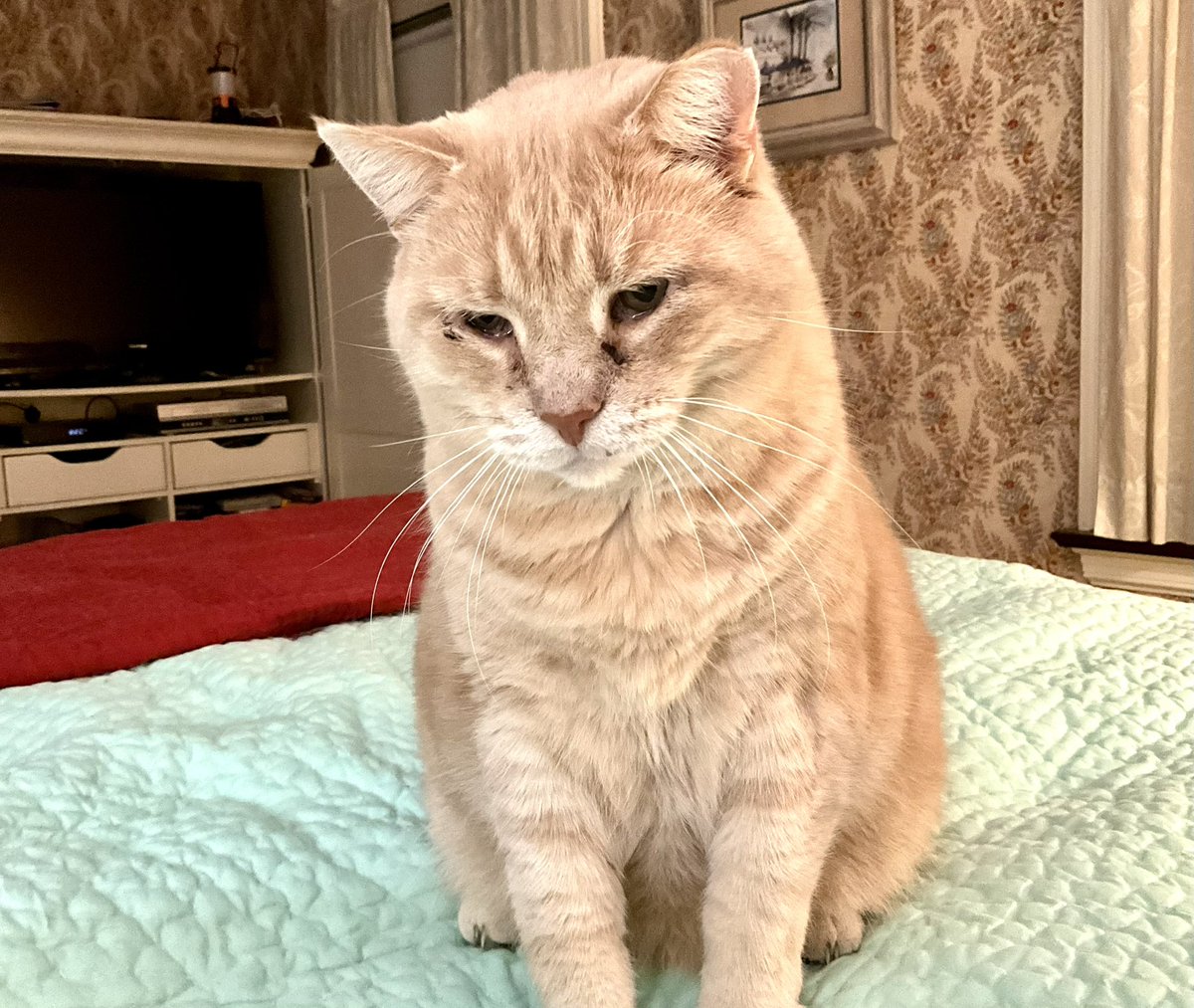 Dorothy14213's tweet photo. Charlie: Maybe YOU set your clock back, but I did not
#fallbackfail https://t.co/lmFJ6NpUnh