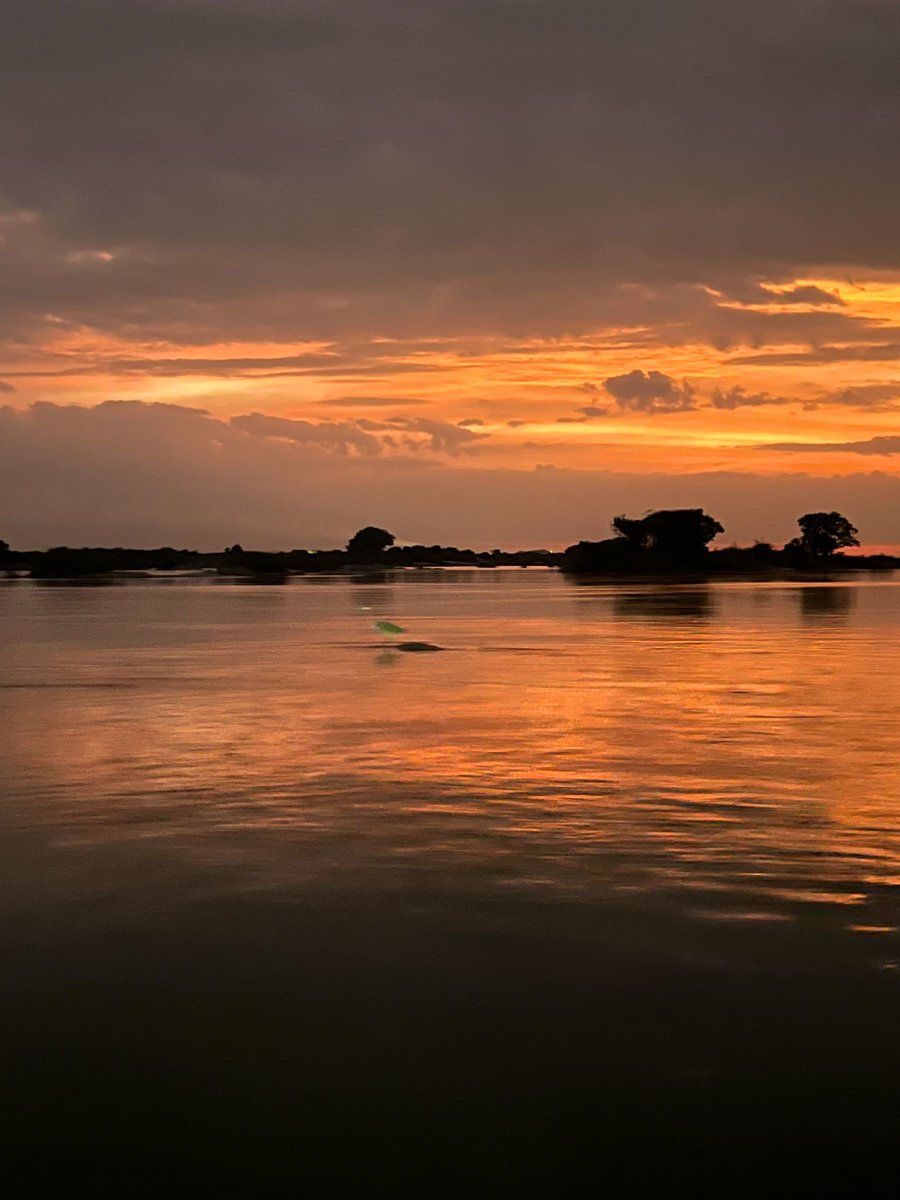 River Krishna and her coracles