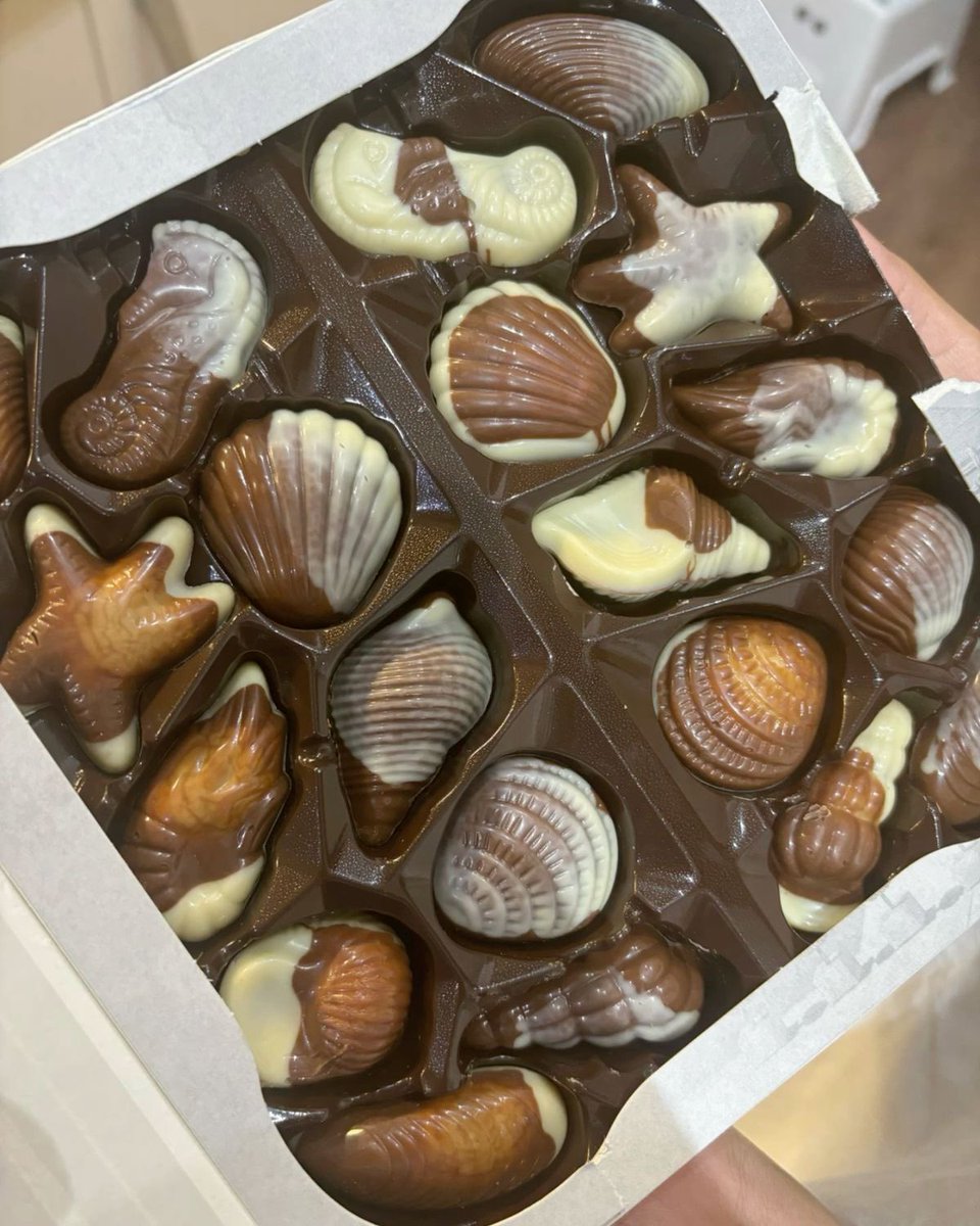 300moods's tweet photo. belgian seashell chocolate https://t.co/Kjz6mF66bm