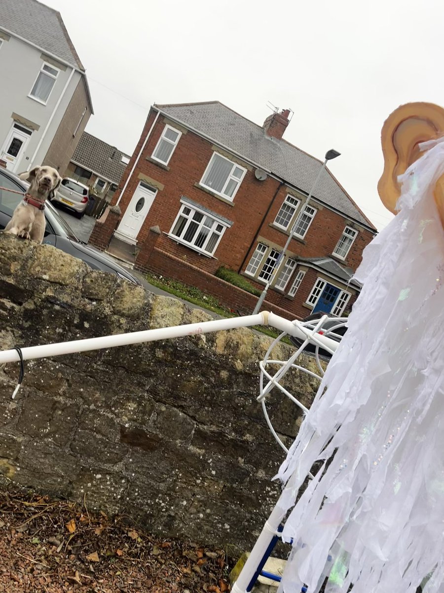 Currently making my next puppet outside as it’s too big for my workshop. The neighbours and dogs are finding it very interesting 😂
