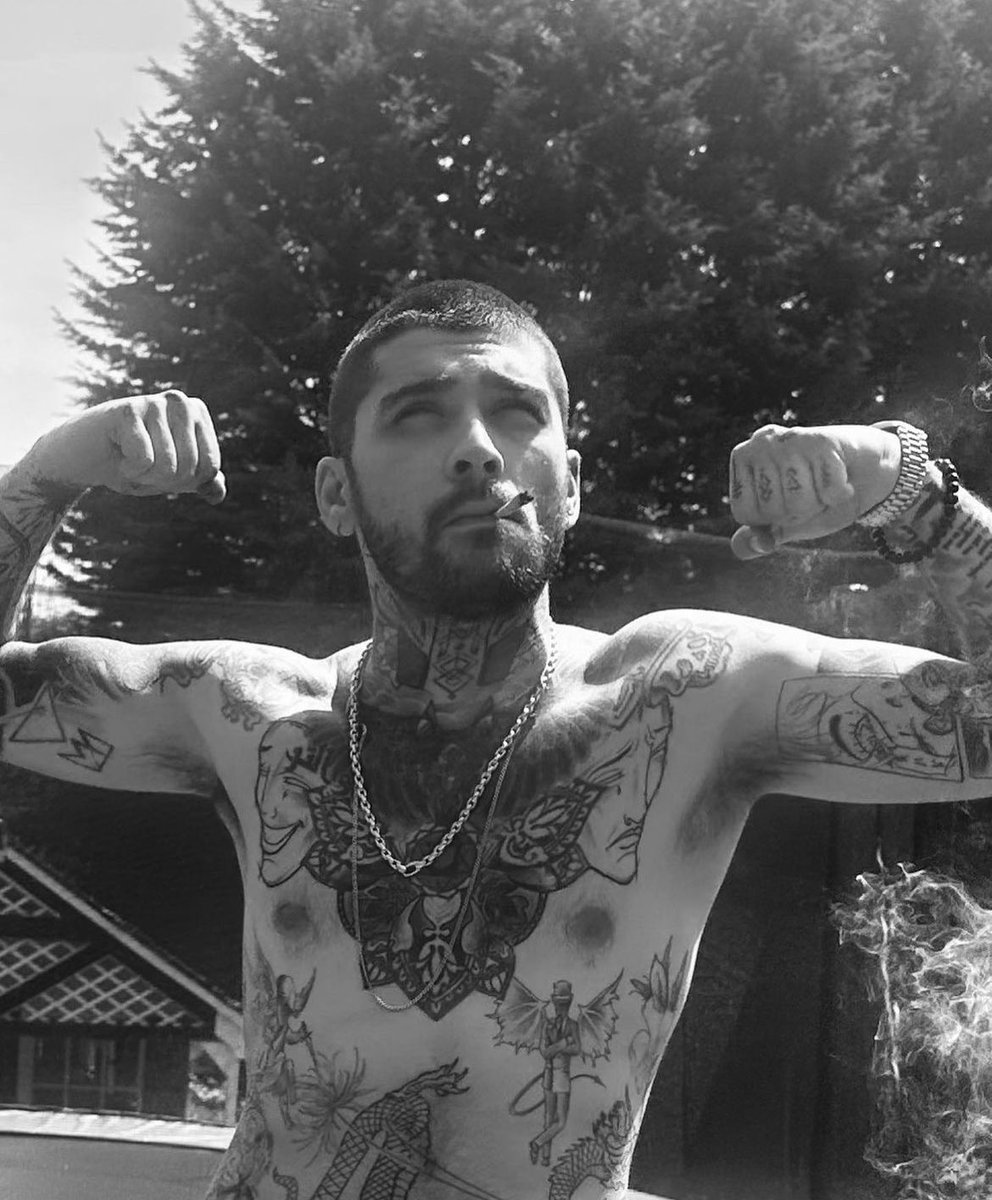 — #zayn <a href="/zaynmalik/">zayn</a>