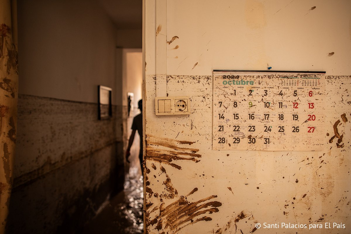 Hoy publico en El País una fotogalería que incluye algunas de las escenas que he visto durante los últimos días en Paiporta.

📸👉 lc.cx/mwvaJI