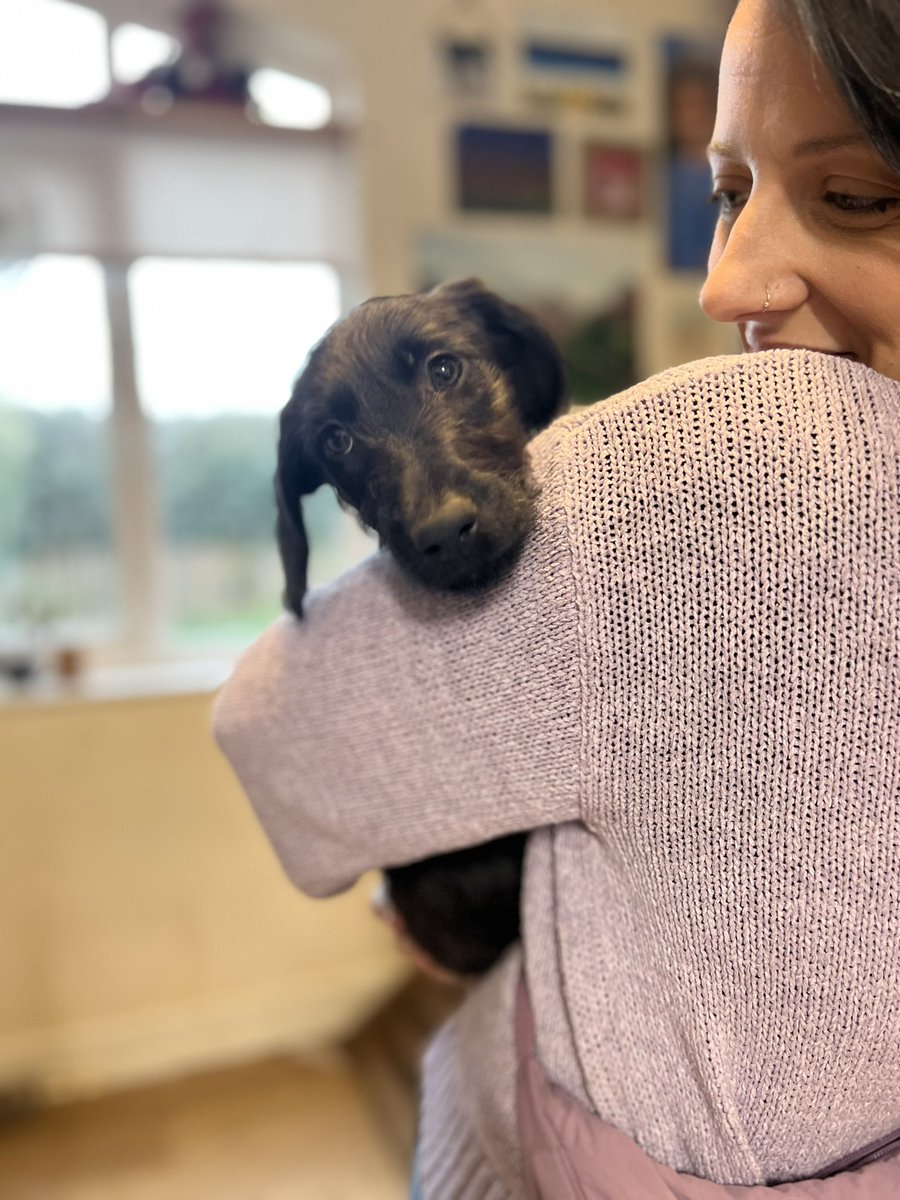 Lads. LADS…

Say hello to Bobble