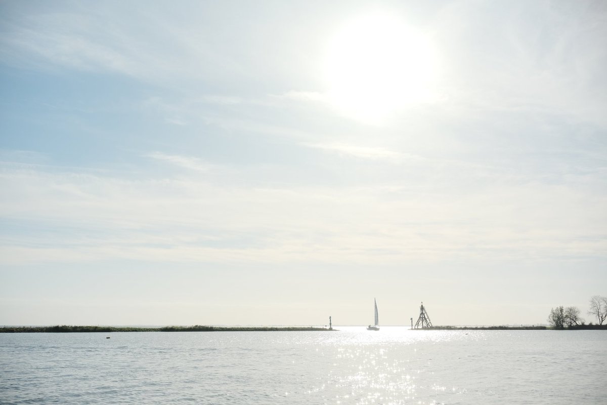 th00mmas's tweet photo. Some pictures of yesterday's walk with my Fuji XT-30 camera. Experimenting with different film simulation recipes https://t.co/Ff8hwUW7G3