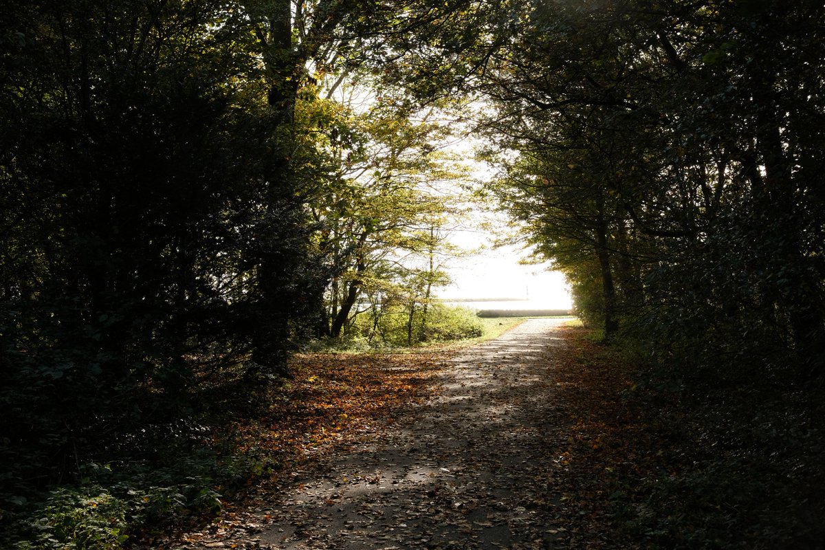 th00mmas's tweet photo. Some pictures of yesterday's walk with my Fuji XT-30 camera. Experimenting with different film simulation recipes https://t.co/Ff8hwUW7G3
