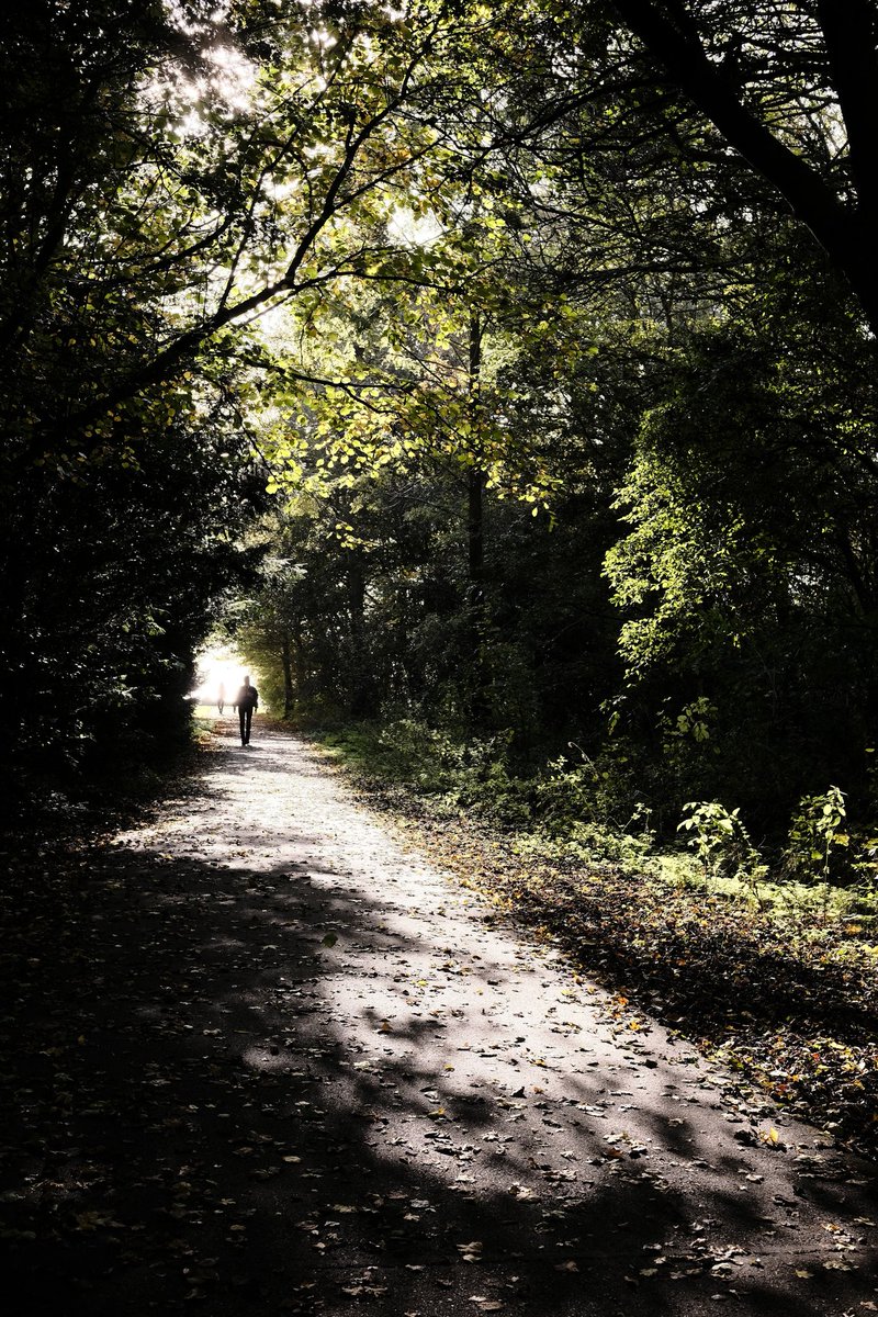 th00mmas's tweet photo. Some pictures of yesterday's walk with my Fuji XT-30 camera. Experimenting with different film simulation recipes https://t.co/Ff8hwUW7G3