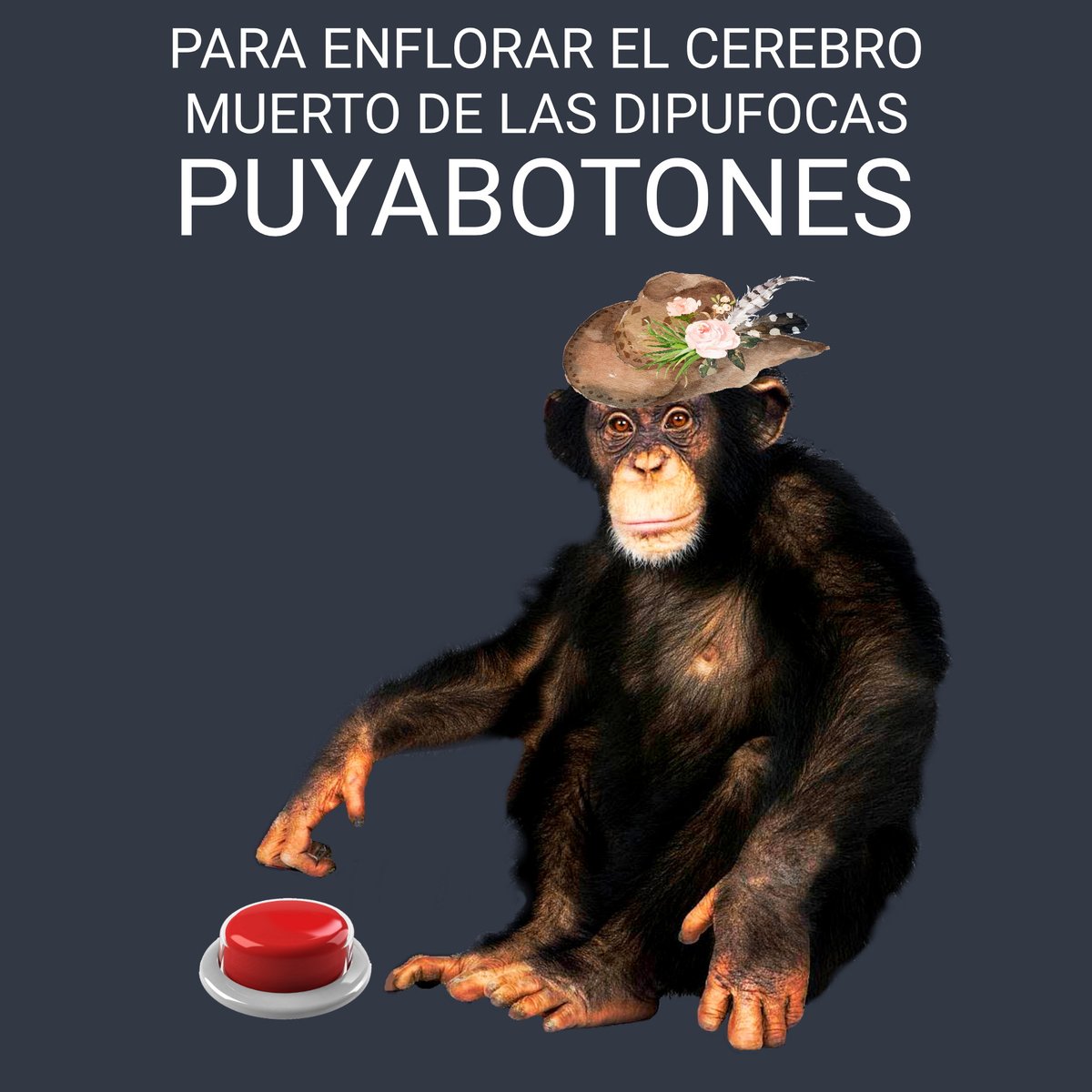 SvFactory's tweet photo. GOOD MORNING.
Hay que enflorar #Golondrejos y #PuyaBotones https://t.co/OdcednzXS1