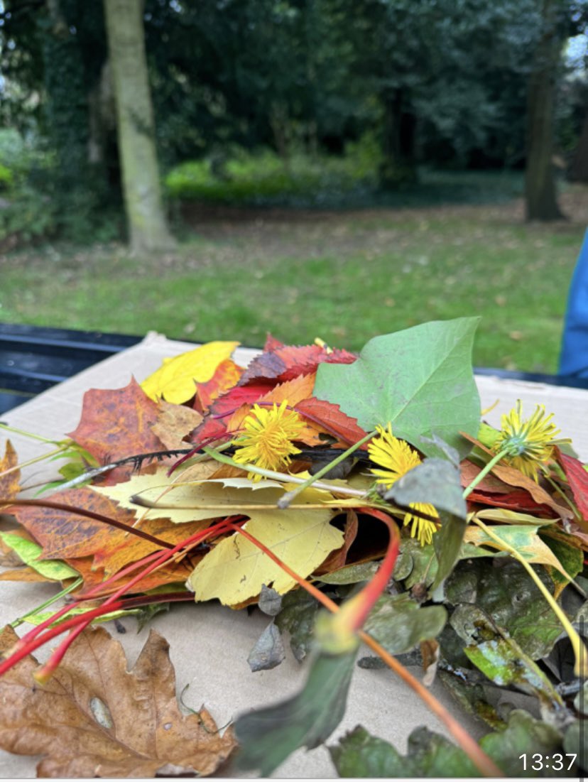 Let's Go Outside & Learn tweet media