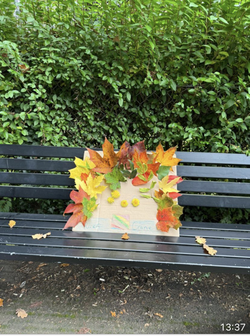 Let's Go Outside & Learn tweet media