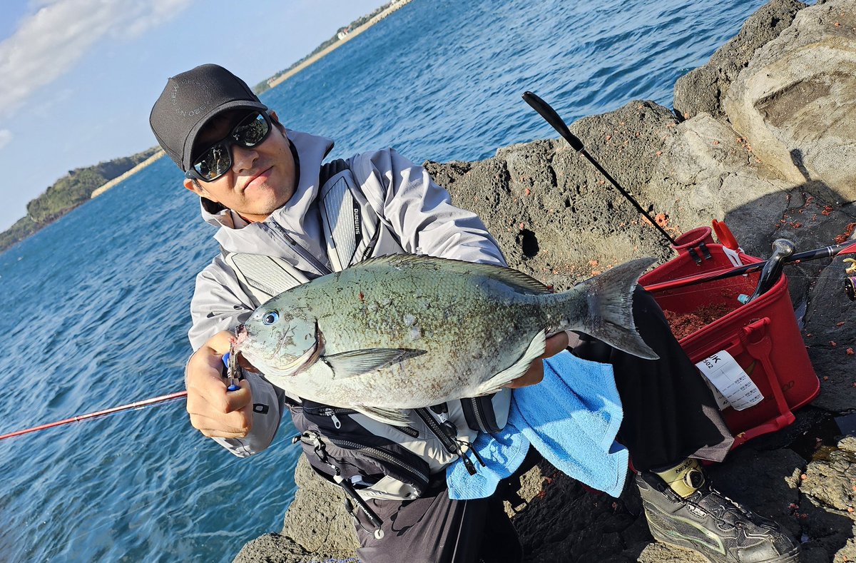yamatobeee's tweet photo. しーげーと五島へ🎣
MAX48.5cm
久しぶりのフカセ楽しかった🙌 https://t.co/cT6h6ZrmKC
