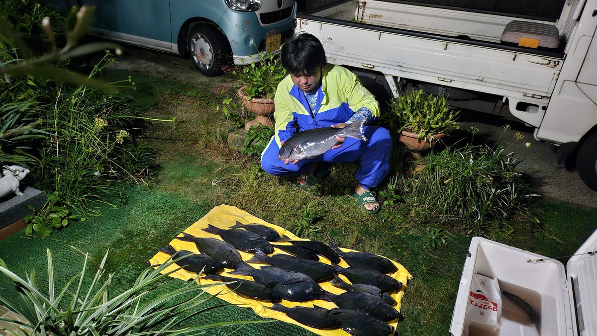 yamatobeee's tweet photo. しーげーと五島へ🎣
MAX48.5cm
久しぶりのフカセ楽しかった🙌 https://t.co/cT6h6ZrmKC