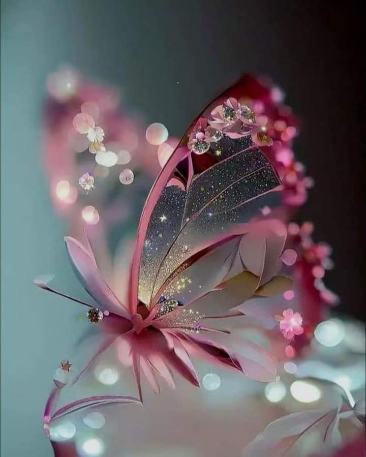 edidj49's tweet photo. @0cjQfTR4CkBT57z My pleasure...happy sunday https://t.co/T6GoNw3HcO