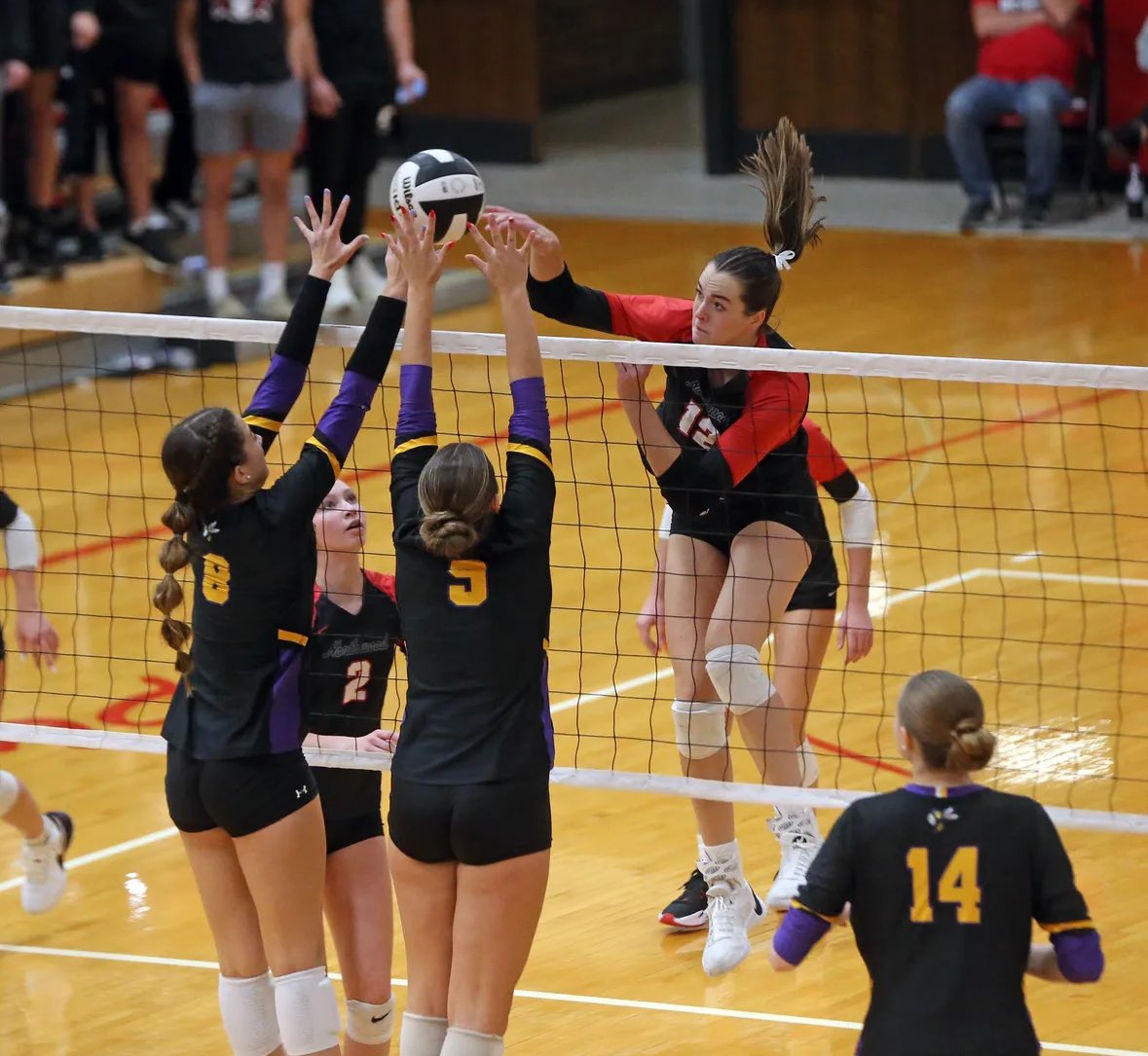 Austin Hough tweet media