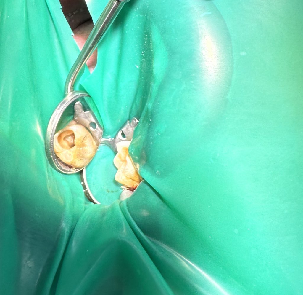 razanx33's tweet photo. Just finished my first rotation at DUH-GP, had an amazing experience at the ER's endo specialist clinic. Such a great opportunity 🙏 https://t.co/hyNPIvciHc