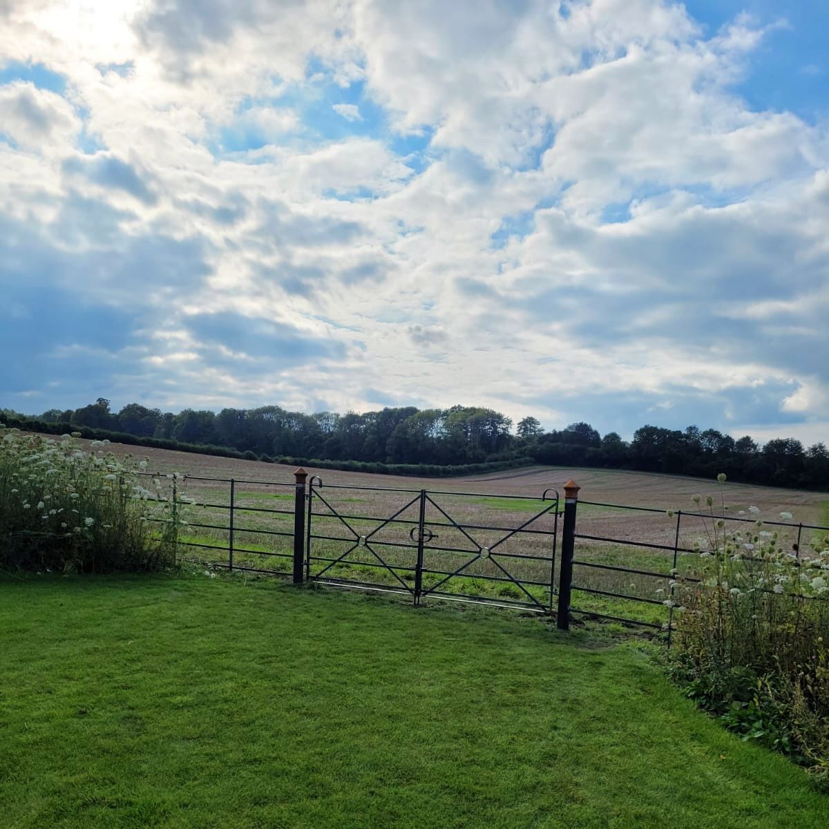ttc_ironwork's tweet image. Quadrant field gate in Hampshire, left to rust naturally it will blend beautifully with the surroundings. 

The gates are handmade in our workshop to exacting standards, using only quality materials. 

#gate
#steelgate
#metalgate
#fieldgate
#thetraditionalco