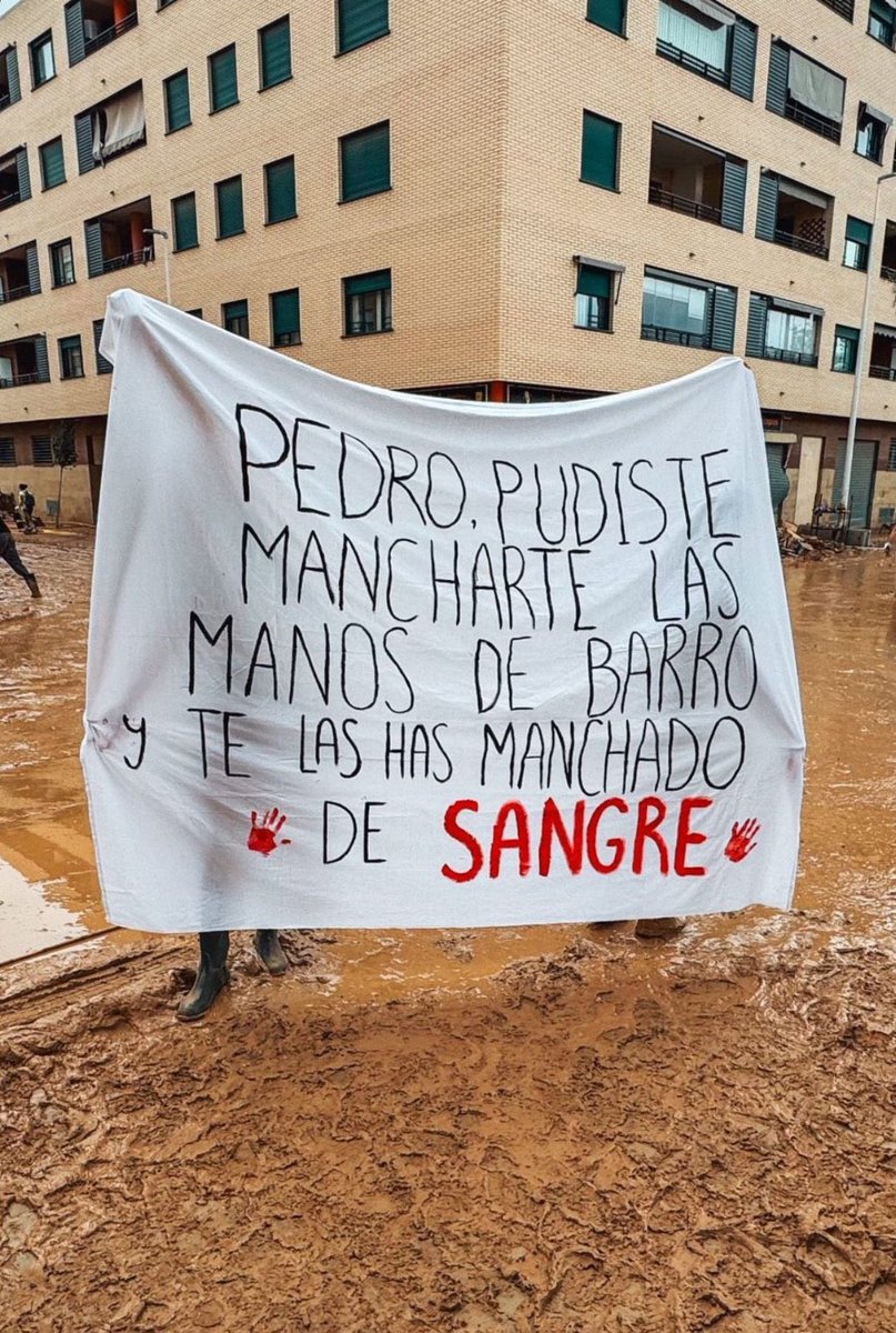 Muy.Mona/🇪🇸💚 tweet media