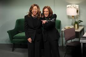Madame9Roux's tweet photo. Just think, #GettingElected in this country is being indorsed by your billionaire celebrity friends and making a spectacle of yourself on Saturday Night Live. You don't have to have a platform or an idea or opinion or brain. https://t.co/hu12glx7wu