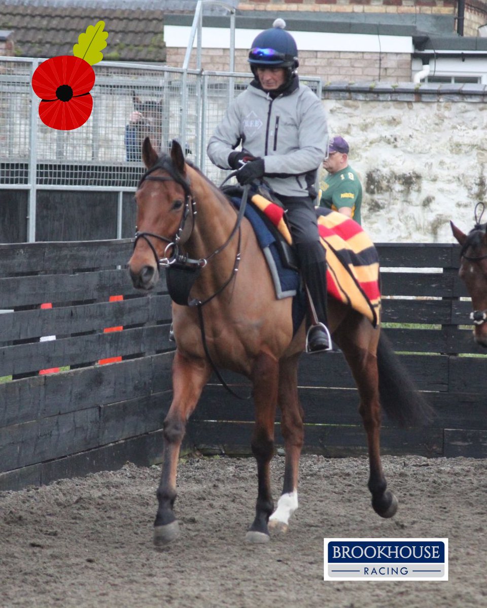 BrookhouseRacin's tweet image. On November 5th, it’s West Warhorse’s time to sparkle!

#Declared