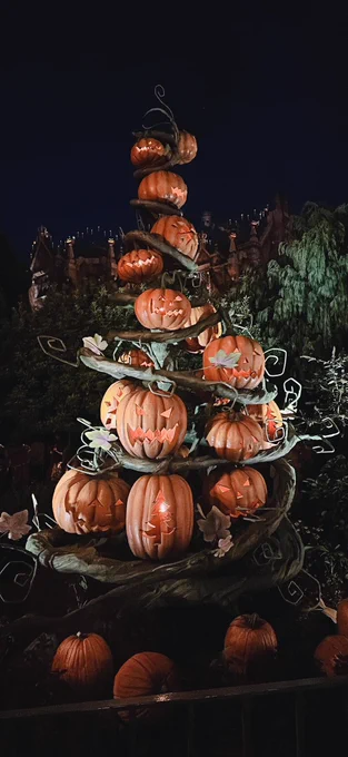 °KさんとDハロランドも行けましたハッピーハロウィン来年も絶対行く 