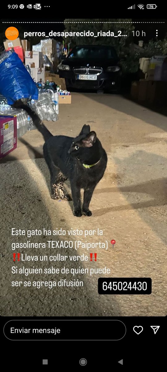 Nuriavg6's tweet photo. #DANA #GatosDesaparecidos #GatosEncontrados #Valencia #Paiporta

Este gatito con un collar verde ha aparecido por la zona de la gasolinera Texaco en Paiporta, por favor si lo reconoces llama al teléfono que viene en la foto, se busca a su familia, gracias https://t.co/Ir1qij0vlW