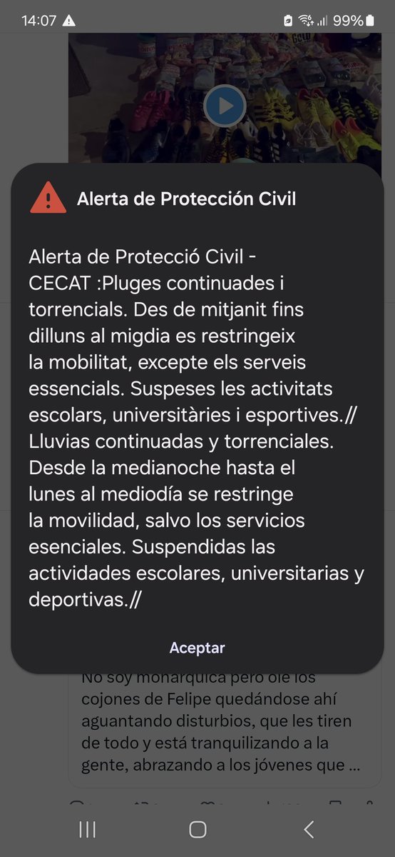 martu 🌻🌷🌼🌹 tweet media